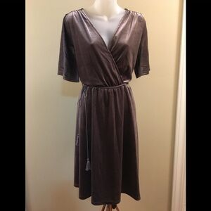 Crescent Velvet Dress Large